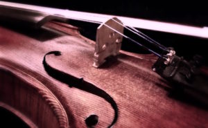 violin-close1