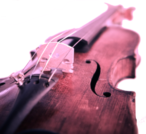 violin1